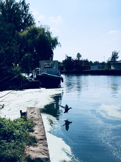 Anleger am Wasser